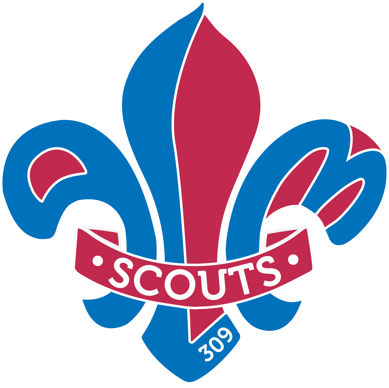 309 Birmingham Scouts (309 GLM Scouts) logo